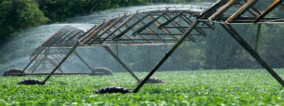 irrigation-systems-and-repairs-adelaide irrigation-systems-and-repairs-adelaide
