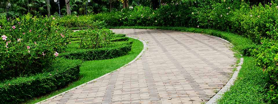 paving-landscaping-edwardstown paving-landscaping-edwardstown